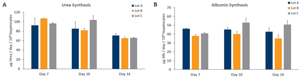 Urea and albumin synthesis in TruVivo